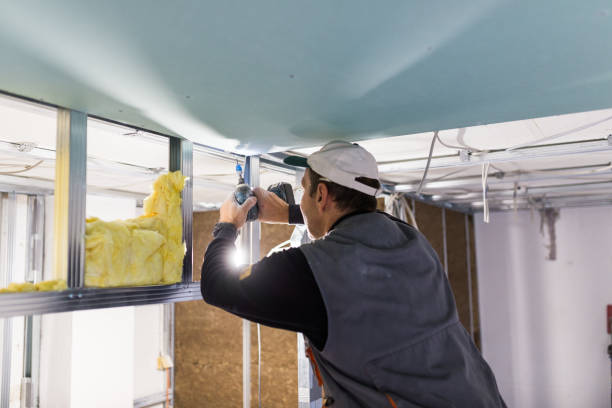 Best Insulation Maintenance and Repair in Jefferson City, MO